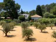 Superbe propriété aux prestations contemporaines, beaux volumes et piscine chauffée, — photo 3
