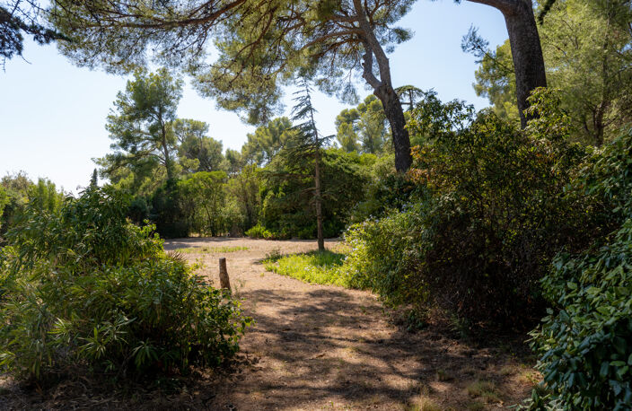 LA BASTIDE DES CÈDRES — photo 5