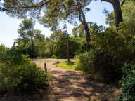 LA BASTIDE DES CÈDRES — photo 4