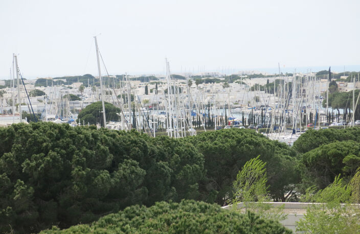 Studio Cabine Port Camargue — photo 2