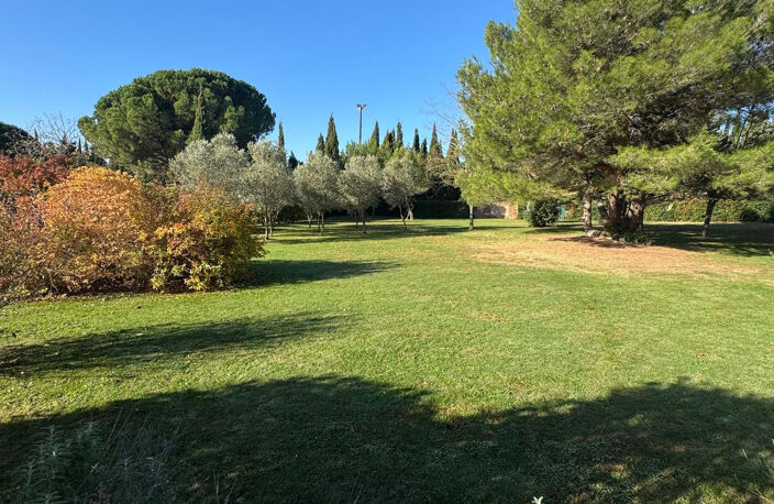 Proche Carcassonne - belle villa avec piscine sur 5.500m2 du — photo 3