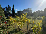 Proche Carcassonne - belle villa avec piscine sur 5.500m2 du — photo 4