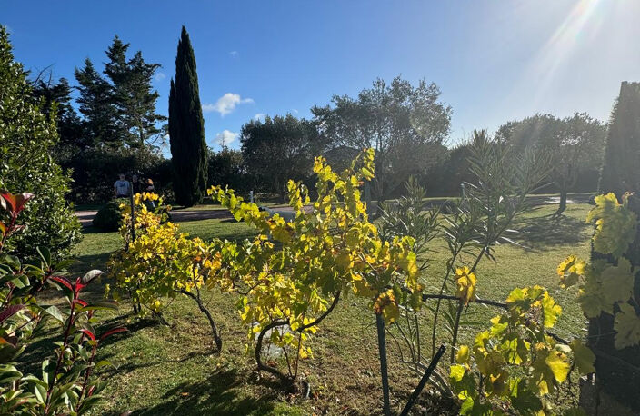 Proche Carcassonne - belle villa avec piscine sur 5.500m2 du — photo 4