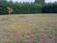 Maison à construire à Lisle (24350) — photo 4