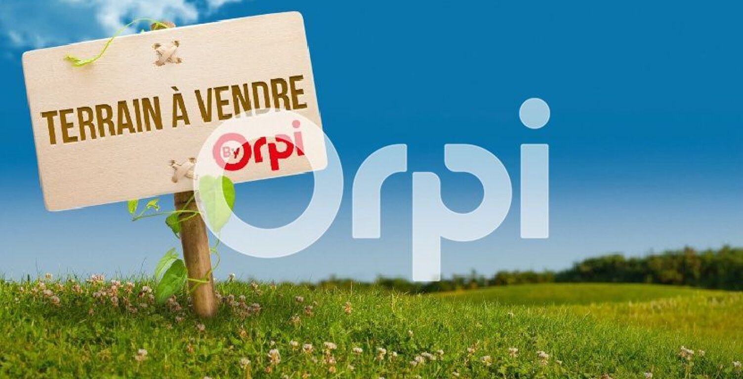   Opportunité à saisir à Saugnac-et-Cambran ! — photo 1