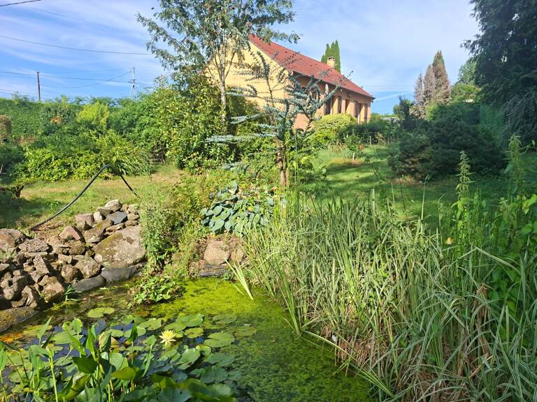 Maison évolutive, secteur la Ferté Macé, 3 chambres, sur sous sol, parc de 3000 m2 arboré et clos — photo 1