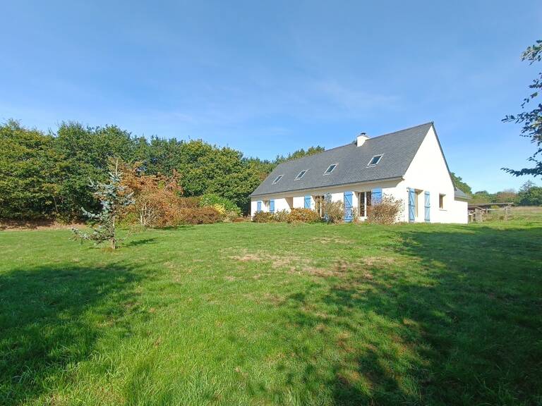 Grande maison à vendre 8 pièces (6 chambres) Berrien — photo 1