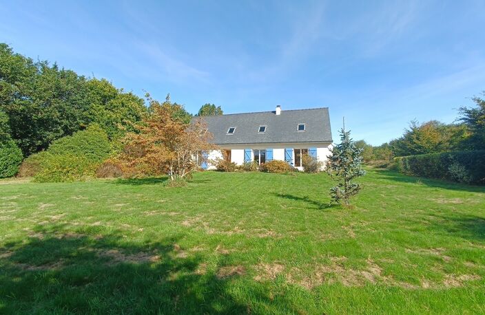 Grande maison à vendre 8 pièces (6 chambres) Berrien — photo 2