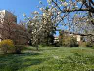 Appartement rez-de-jardin àTassin La Demi Lune 4 pièce(s) 92.89 m2 — photo 2
