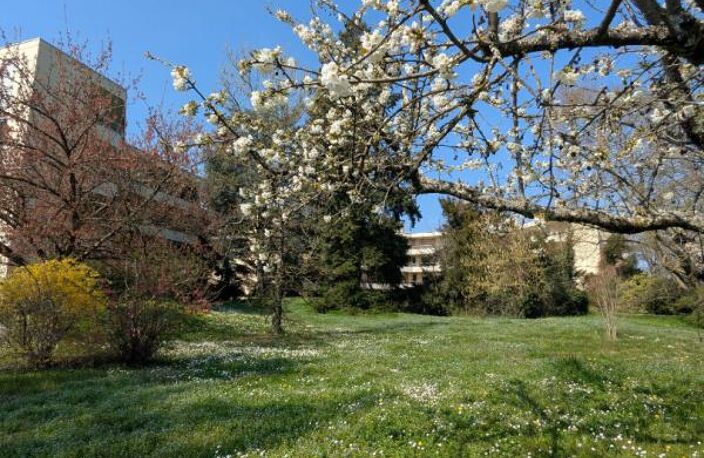 Appartement rez-de-jardin àTassin La Demi Lune 4 pièce(s) 92.89 m2 — photo 2