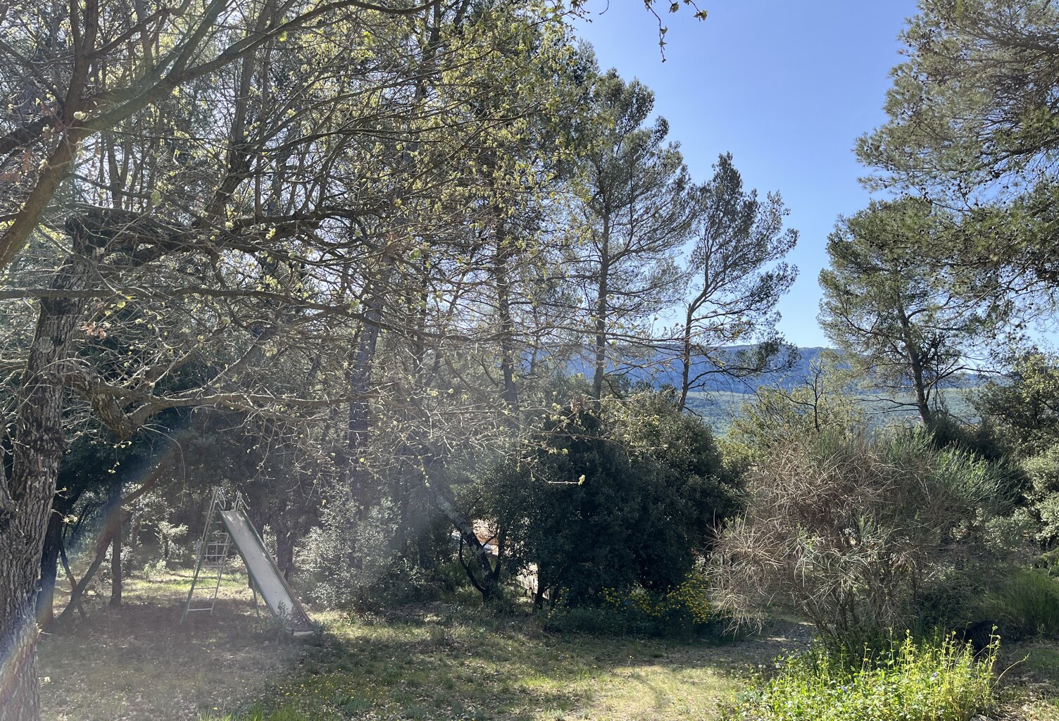 Vente terrain à construire 2000 m² Nans-les-Pins (83860) — photo 1