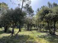 Terrain à construire  2000 m² — photo 2