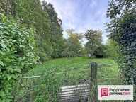 Entre Honfleur et Pont-l'Évêque  Une maison de charme au coeur d'un écrin de nature sur 1,1 hectare — photo 4