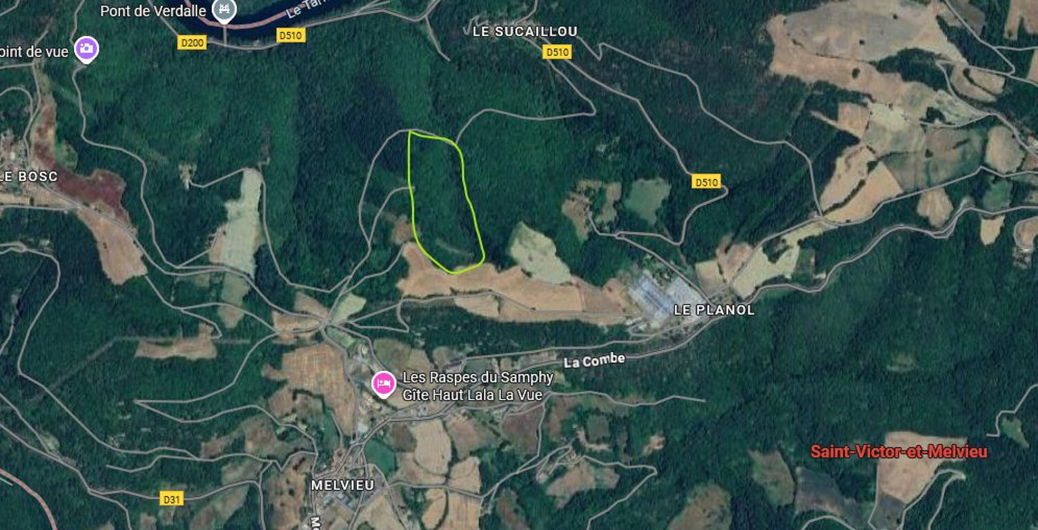 Domaine forestier de 4,3 hectares - Bois de châtaigniers et chênes à Saint-Victor-et-Melvieu — photo 1