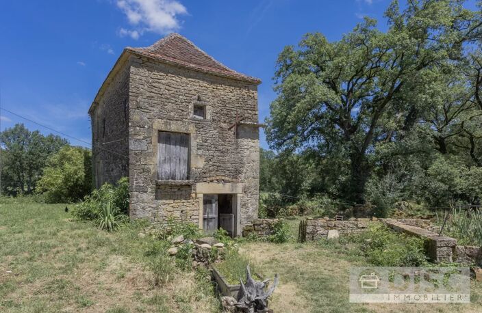 Charmant ensemble avec petite maison et dépendances. — photo 4