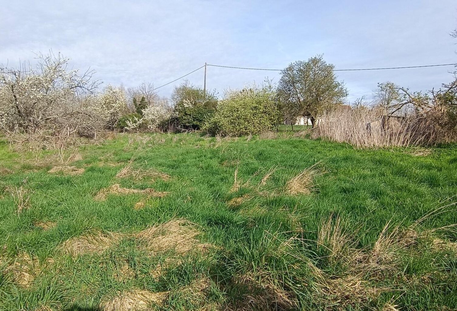 TERRAIN VILLEQUIER — photo 1