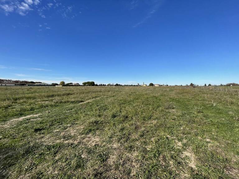 Terrain — photo 1