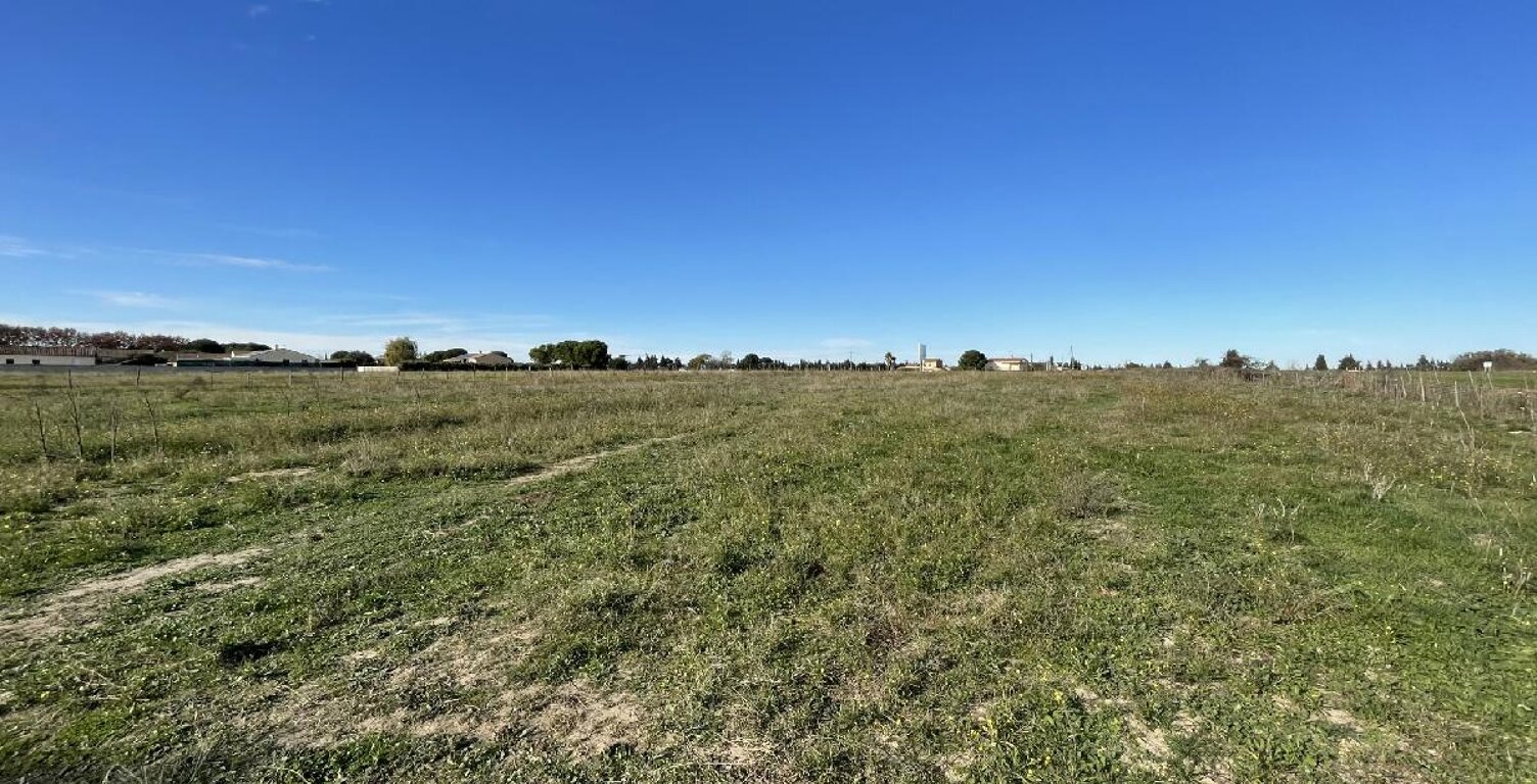 Terrain — photo 1