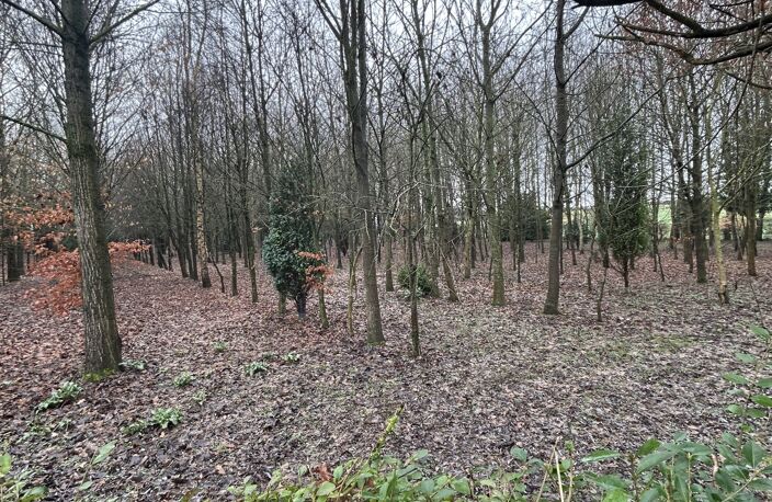 Vente Ferme 10 pièces — photo 3