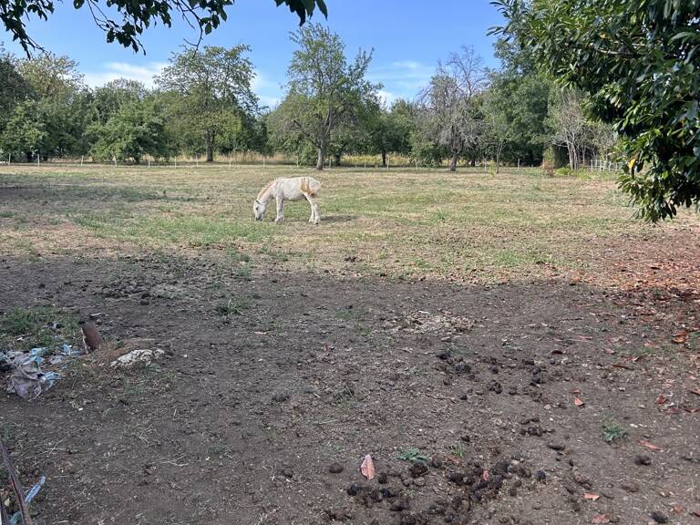 Vente Terrain à bâtir 2 170 m&sup2; — photo 1