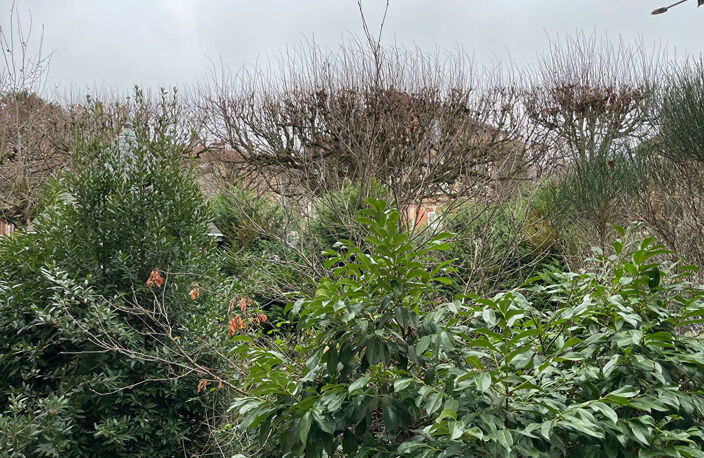 3 pièces traversant au calme et au milieu de la verdure en plein centre-ville de Meudon ! — photo 4