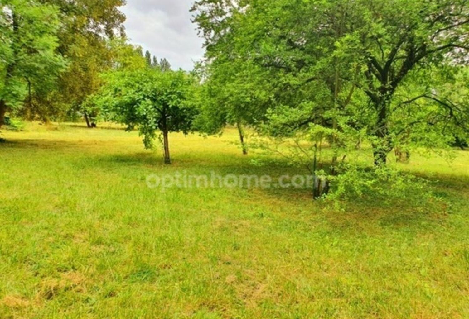 BEAUCHAMP (95) — TERRAIN ARBORÉ AU CALME — photo 1