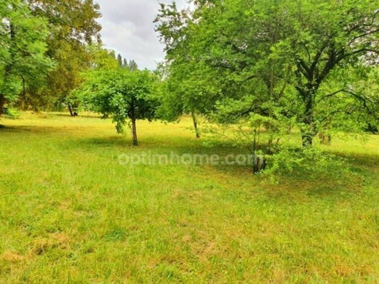 BEAUCHAMP (95) — TERRAIN ARBORÉ AU CALME — photo 1