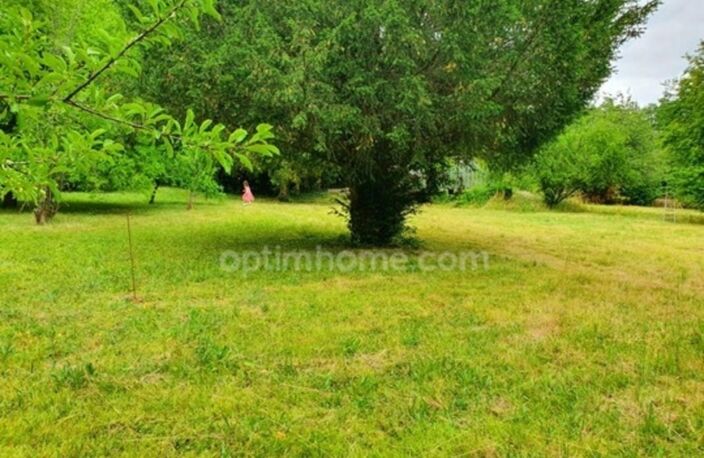 BEAUCHAMP (95) — TERRAIN ARBORÉ AU CALME — photo 3