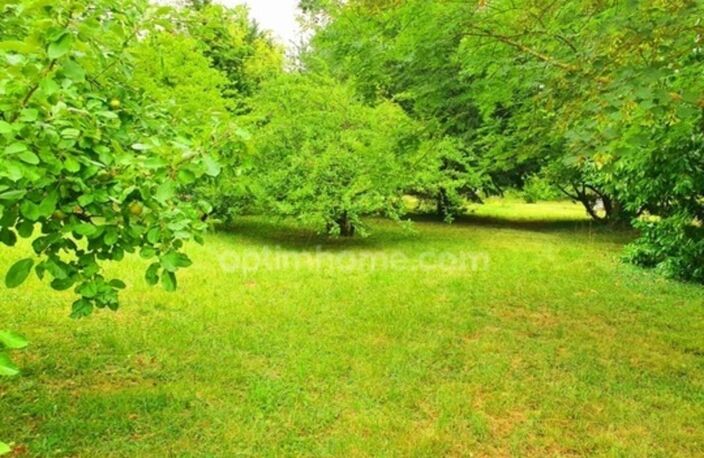 BEAUCHAMP (95) — TERRAIN ARBORÉ AU CALME — photo 4