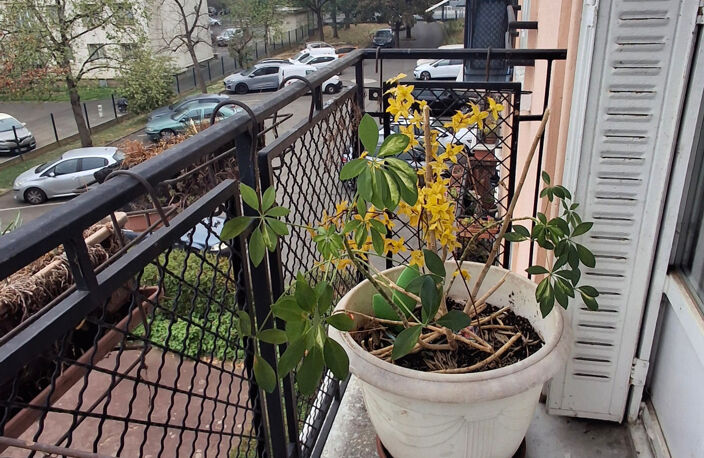 Appartement à vendre 5 pièces VITRY SUR SEINE (94) — photo 4
