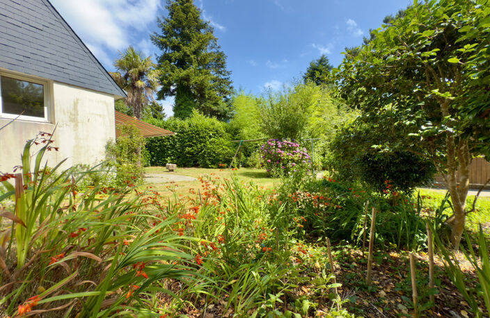 À vendre, Maison 5 chambres + hangar sur 1893 m² de terrain divisible,  à 1 km des plages de Bénodet — photo 3