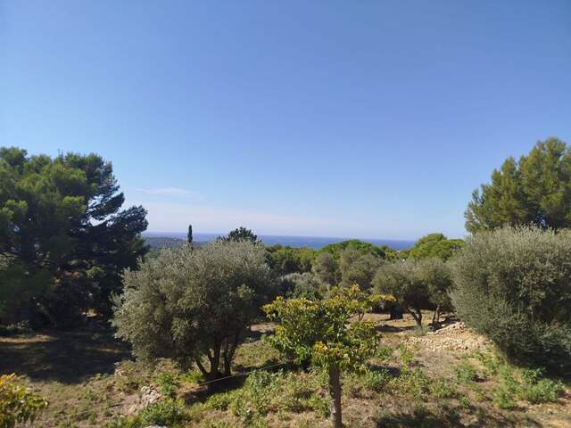 Grande villa Ollioules gros cerveau avec vue sur la mer — photo du bien