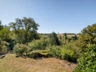Maison Chaponnay — photo 3