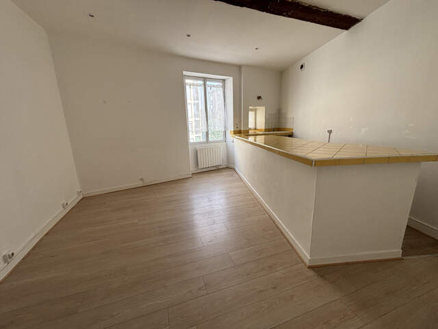 Centre d'Oullins, Charmant appartement T2 — photo du bien