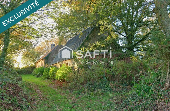 Rare : maison en pierres, calme et sans voisin — photo 4
