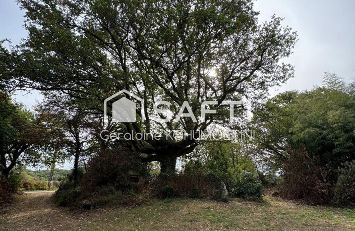 Rare : maison en pierres, calme et sans voisin — photo 5