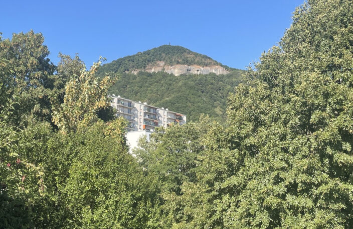 Appartement à vendre Voiron — photo 2