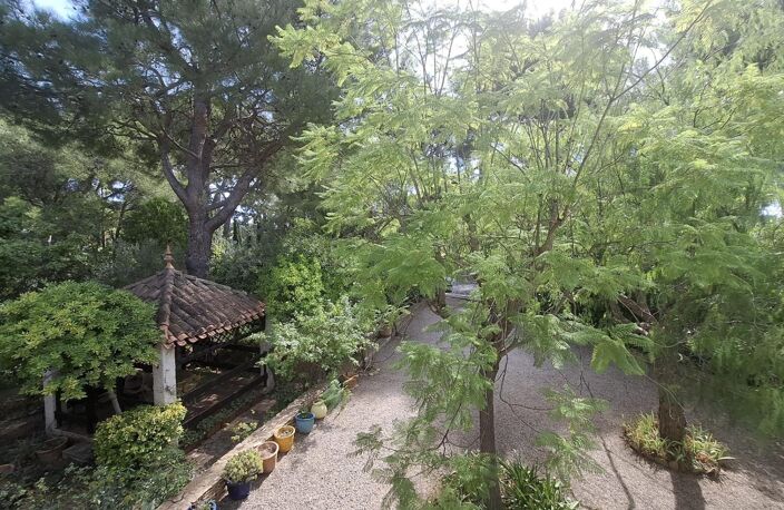 Maison Traditionnelle "L'Escale Ciotadenne" — photo 3