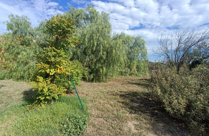 PROPRIETE VILLA PARCELLE 1800M2 — photo 5