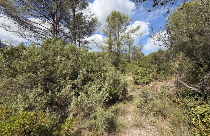 Vente terrain   Solliès-Toucas (83210) — photo 2