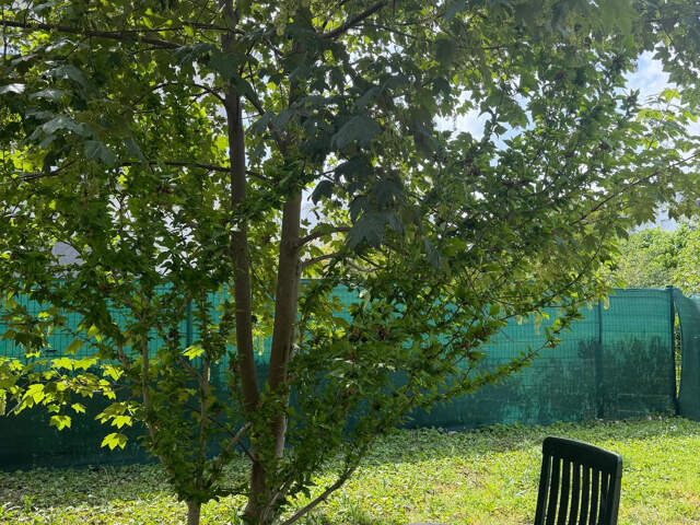 REIMS   AVENUE DE LAON | APPARTEMENT DE 104,66 M2 AVEC JARDI — photo du bien