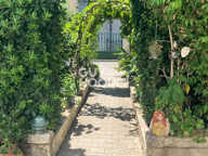 maison — photo 2
