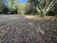 HAGONDANGE: maison avec cachet sur environ 12 ares de terrain — photo 2