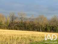 Vente Terrain agricole 7 264 m&sup2; — photo 3