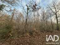 Vente Terrain agricole 7 264 m&sup2; — photo 4