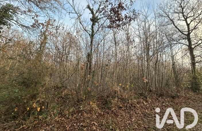 Vente Terrain agricole 7 264 m&sup2; — photo 4