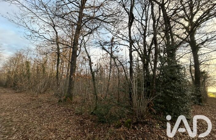 Vente Terrain agricole 7 264 m&sup2; — photo 5