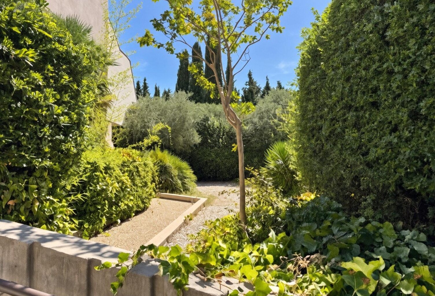 MONTPELLIER ALCO  LOCAL PROFESSIONNEL 58 M²  TRANSFORMATION EN APPARTEMENT POSSIBLE — photo 1