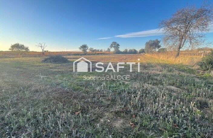 Terrain Agricole plat — photo 2
