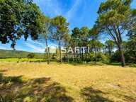 villa de plain pied avec joli jardin — photo 4